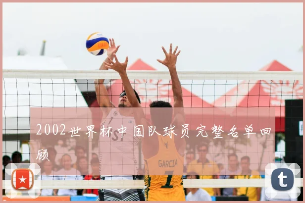 2002世界杯中国队球员完整名单回顾