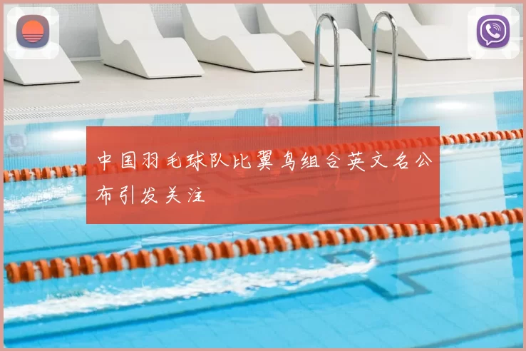中国羽毛球队比翼鸟组合英文名公布引发关注