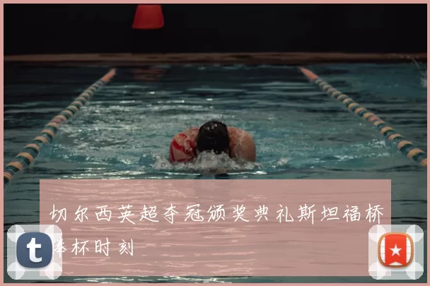 切尔西英超夺冠颁奖典礼斯坦福桥捧杯时刻