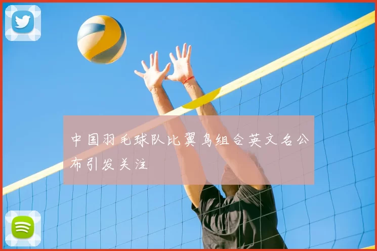 中国羽毛球队比翼鸟组合英文名公布引发关注